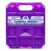 Arctic Ice Tundra Series Long Lasting Reusable Ice Pack -