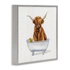 Stupell Industries Shaggy Country Cattle in Bathtub Rubber Duck Wall