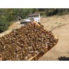 APIS Bee Venom Serum with Royal Jelly and Manuka Honey