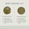 Luxmi Estates - Moringa Mint Tea Loose Leaf - 50g,