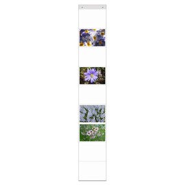 trendfinding DIN A4 Curtain with 9 Pockets Landscape Format Photo Wall Photo Gallery Photo Holder Pocket Curtain Photos A4 Documents (DIN A4 Landscape Format)