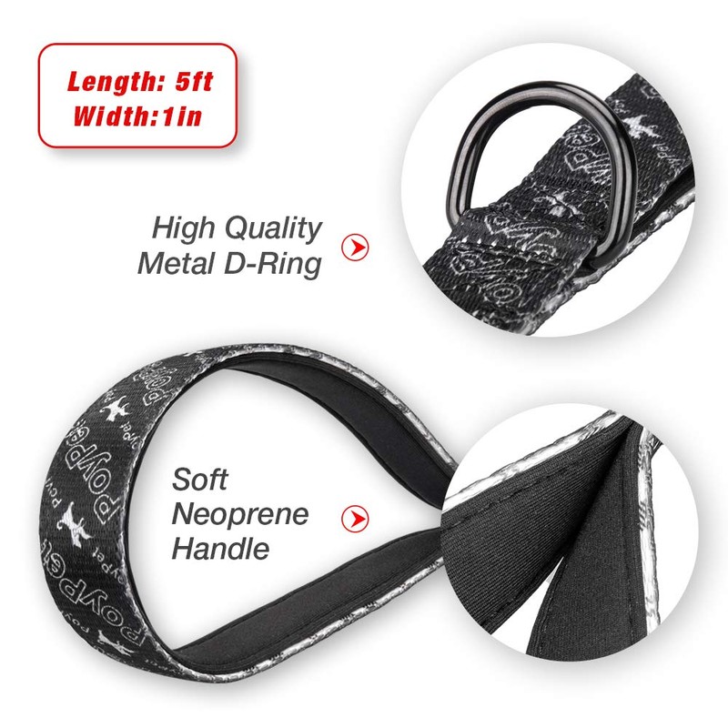 PoyPet 5 Feet Dog Leash with Padded Handle for Small