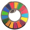 SDGs United Nations Headquarters Pin Badge, Limited Release