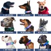 Spark Paws Tactical Dog Collar - Heavy Duty, Premium Quality,