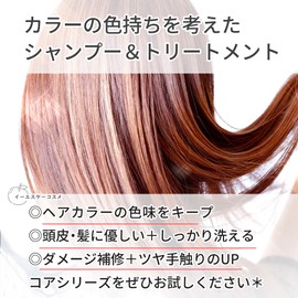 ESK Cosmetics Core Shampoo Core Pack Set, Hairdresser Supervision, Shampoo Treatment, Damage Care, Fade Resistant, 10.6 oz (300 g)