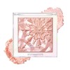 CLIO Prism Highlightr makeup, High Glossy Face Illuminator, Pearl Shimmer