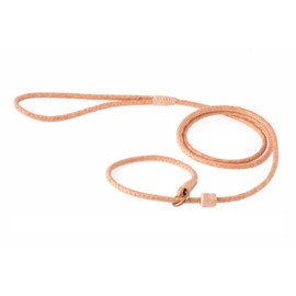 Alvalley - Correa Trenzada con Tope para Perros de 1,82 m, Fina, Bronceado, XS