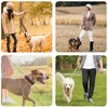 LIEVUIKEN Dog Leash 6ft Long, Double Handle Dog Leash for