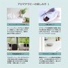 Camphor White 100ml Incent Essential Oil Essential Oil