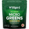 Wellgard Micro Greens 300 Grams – Greens Powder, 57 Ingredients,