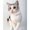 Solmoony Breakaway Cat Collars with Bell,Adjustable Safe Kitten Collar,Cat Collars