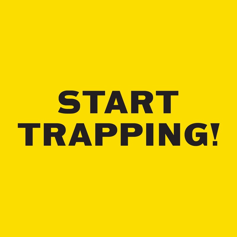 PIC GPT-4 Glue Pest Trap for Spider and Snake, 4-Pack