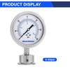 MEASUREMAN 0-60 PSI Sanitary Pressure Gauge - Liquid Filled Stainless
