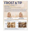 Clairol Nice 'n Easy Frost & Tip Original