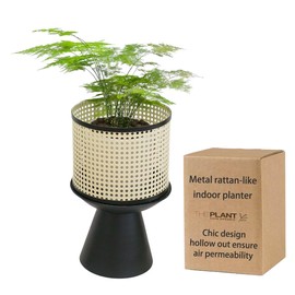 PandS Beige Metal Planter, Rattan-Like Modern Indoor Plants Stand, Planters for Indoor Plants, Decorative for Herbs, Cactus, Succulents