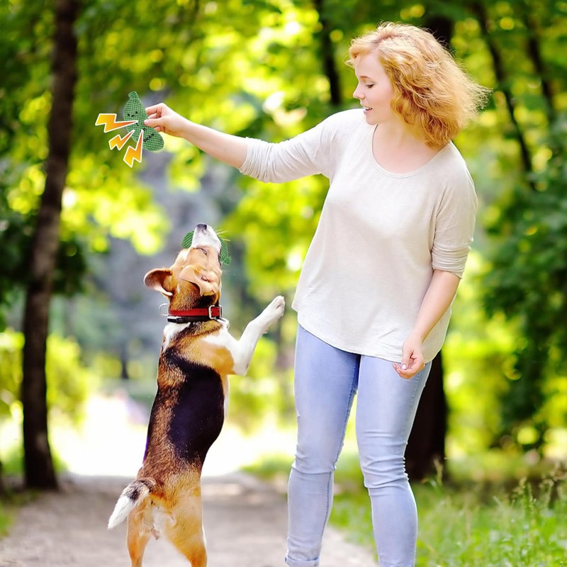 Pickle Squeaky Dog Toy - Durable Plush Chew Toy for