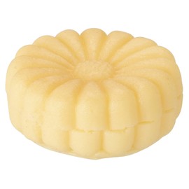 Wilmer 商事 Offerings Candy Chrysanthemum Even in