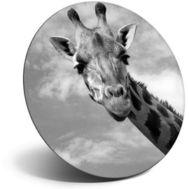 Destination Vinyl ltd Magnet for Refrigerator, Fridge BW - Cute Giraffe Wild Animal Zoo Wildlife for Office, Cabinet and Whiteboard, Magnetic Stickers, 40993