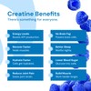 Create Creatine Monohydrate Gummies for Men & Women, Boost Focus,