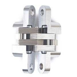 2 Packs Hidden Door Hinges LISHAN Strong and Durable with 180 Degree Opening Angle Easy to Install Made of Thickened Zinc Alloy Ideal for Kitchen Cabinet Secret Doors and Bathroom (Sliver)