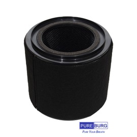 PUREBURG MD 10171 Ersatz-HEPA-Filter kompatibel mit MEDION LIFE P230 Luftreiniger (MD 10171), H13 Echter HEPA-Filter und Aktivkohle-Vorfilter
