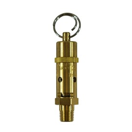 Kingston 1/4” NPT Brass Hard Seat  Pressure Relief Valve 100 PSI / 133 SCFM