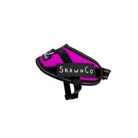 ShawnCo Essential Pro Dog Harness, No-Pull Pet Vest with 3 Leash Clips and Removable, Reflective Side Patches, Adjustable and Padded Harness for Small, Medium and Large Dogs (Orchid, XS)