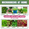 QISHENG - 4 Pack Microgreens Grow Kit,Soil-Free Cultivation Germination Tray,BPA-Free