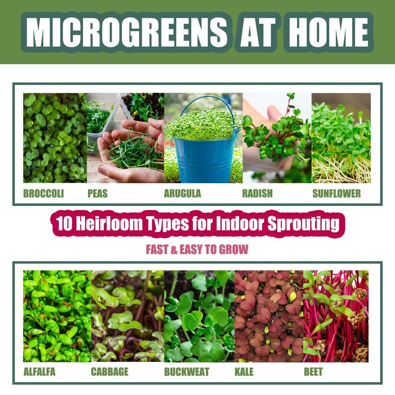 QISHENG - 4 Pack Microgreens Grow Kit,Soil-Free Cultivation Germination Tray,BPA-Free