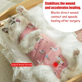 GIEEU 2 Pack Cat Recovery Suit - Post-Surgery Protective Bodysuit for Cats,Cat Vest after Surgery Female,Recovery Suit Female Abdominal Wounds, Size M (2~4KG Cat)