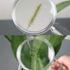 MAGDEPO 3X Handheld Magnifier 2-in-1 Crystal Clear Transparent Acrylic Magnifying