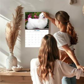 2025 2026 Maltese Calendar - Dog Breed Monthly Wall Calendar - 12" x 18" Open - Thick No-Bleed Paper - Giftable - Academic Teacher's Planner Calendar Organizing & Planning - Made in USA