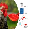 KCLROEO XL Chicken Waterer Cups – 4 Pack Large Automatic