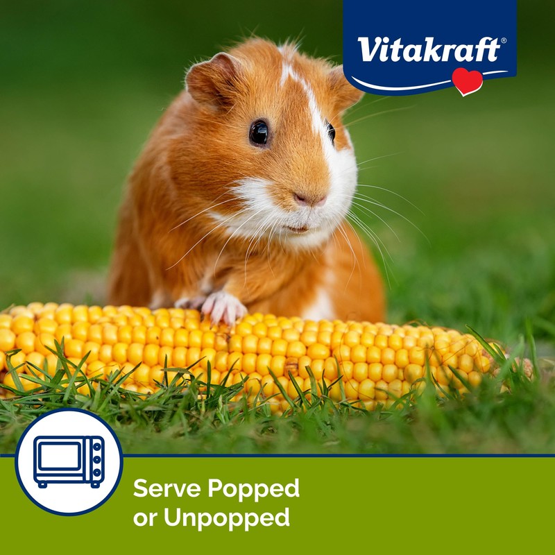 Vitakraft Mini Pops Treat for Small Animals - 100% Real