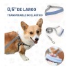 Arnés Pechera con Correa y Bandas Reflectantes para Perro Talla