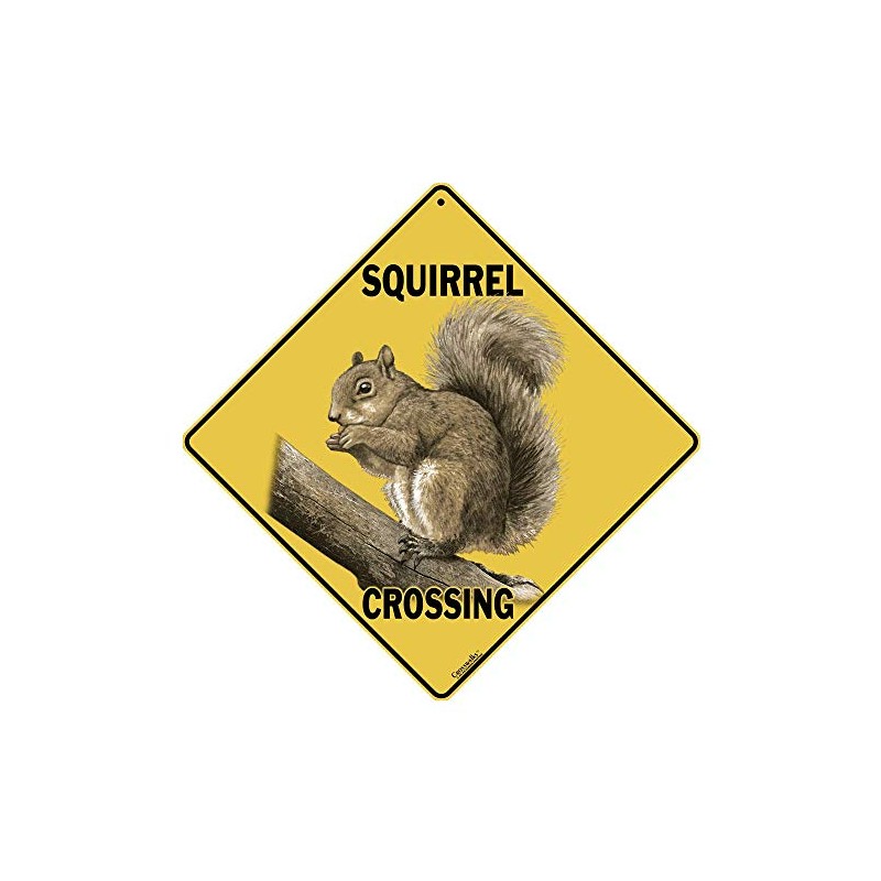 CROSSWALKS Squirrel Crossing 12" X 12" Aluminum Sign (X315)