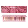 Paleta 10 Sombras Alta Pigmentacion Brillo Mate Trendbeauty