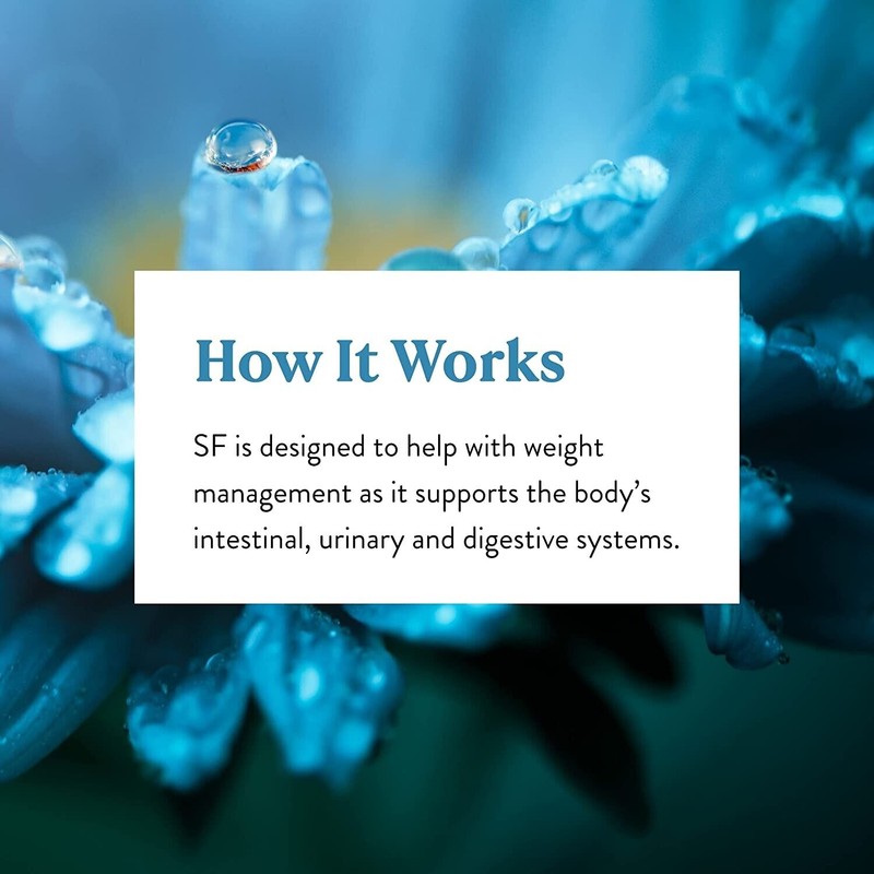 Natures Sunshine SF Supports Digestive Functions Herbal Extracts 100 Veg