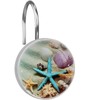C.IOPMNU 12pcs Seashell Shower Curtain Hooks, Ocean Theme Decorative Shower