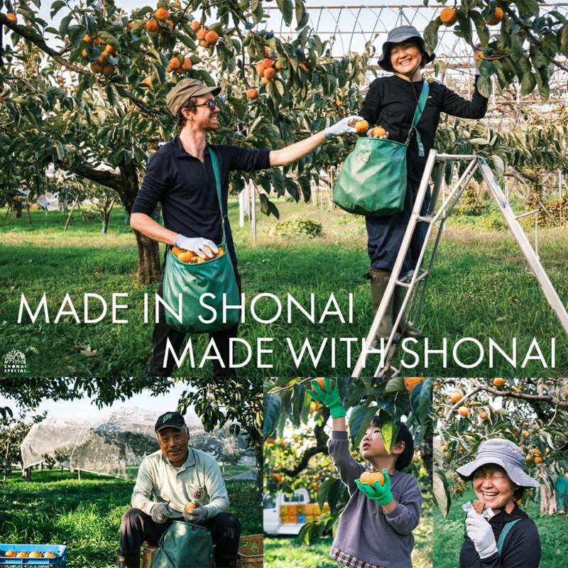 Shonai Special KAKI ENERGY BAR Mixed Berries 12 Count