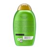 OGX Rosemary Mint XS Shampoo 13oz