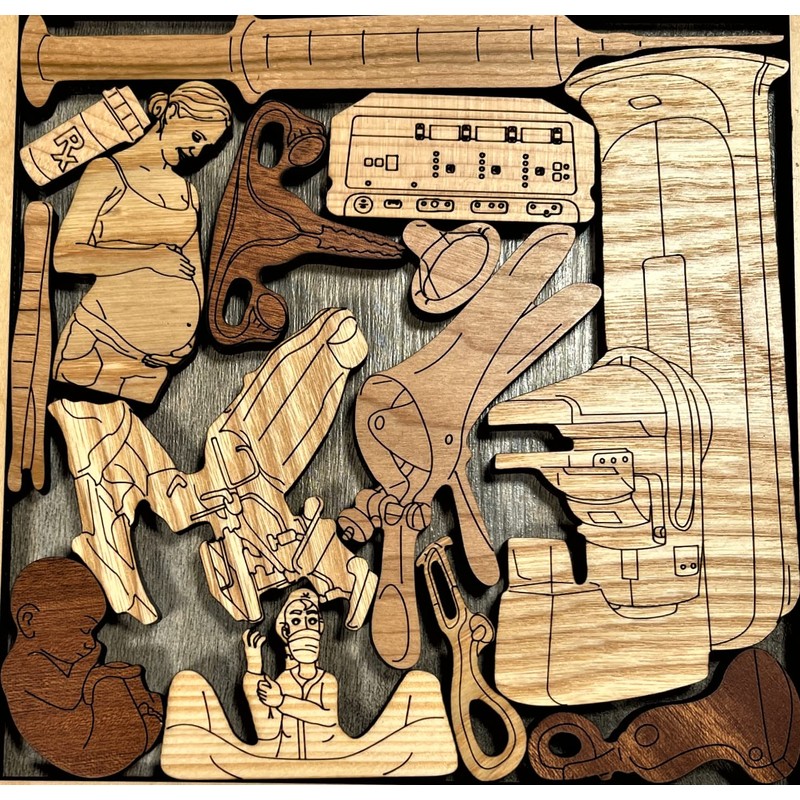 The OB/GYN Obstetrics and Gynecology Puzzle