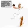 M JJYPET Cat Wand Toys, Interactive Kitten Toys for Indoor
