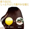 Oshima Tsubaki Hair Color Treatment, Dark Brown, Unisex, Paraben, Diamine