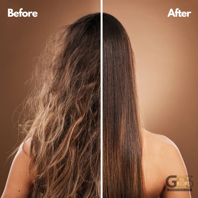 Tratamiento Para El Cabello - Aceite De Argán Gd3 100