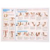 New-Hale 721873 X-TAPE Tape Ankle Ready-to-Stick Series (20 Sheets)