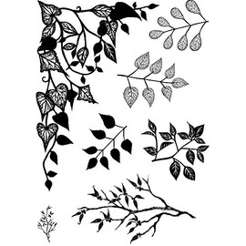 Card-io Card-Io Greenery 1 A6 Clear Stamps