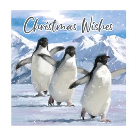 Eurowrap Pack of 12 Assorted Christmas Cards Xmas Arctic Animals Penguin Polar Bear, 2 Designs Merry Christmas and Christmas Wishes Eco Friendly Packaging 100% Recyclable