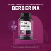 Berberina Life 360 1000 Por Porción 180 Cápsulas Extracto Hcl