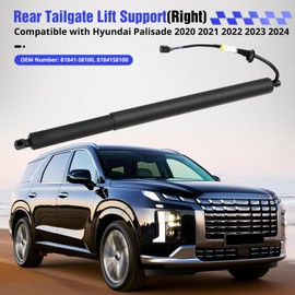 Liftgate Lift Support Struts Shocks, Compatible with Hyundai Palisade 2020-2024, Rear Tailgate Genuine OEM Drive Unit Power Actuator 81841-S8100 ‎81841S8100 (Right)